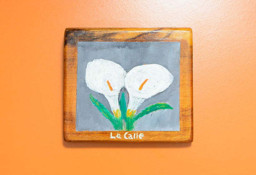 Bed and Breakfast Maison Twentyfive - Guest House  | Ischia | Napoli | Italia 8