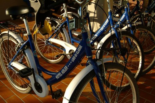 Hotel Adler  | Lido di Classe | Ravenna | Italy 11