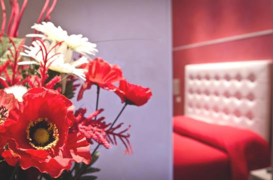 Londrino Sanremo  | San Remo | Imperia | Italy 4