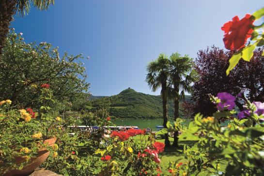 Hotel Seegarten  | Caldaro Sulla Strada del Vino | Bolzano | Italia 1