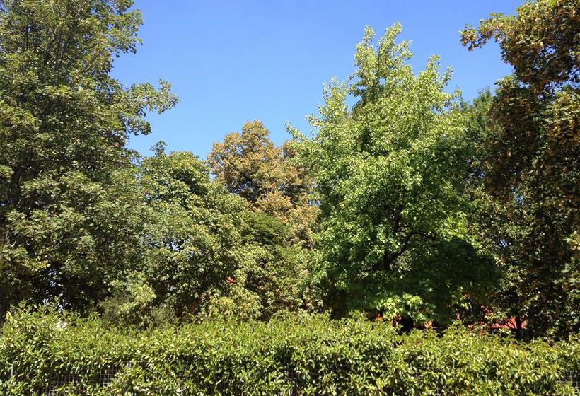 Residence Corte della Vittoria  | Parma | Parma | Italia 5