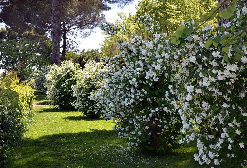 Hotel Villa Cimbrone  | Ravello | Salerno | Italia 13