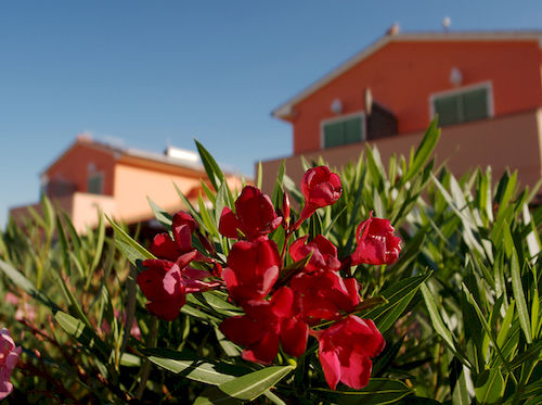 Hotel Residence Rosa Dei Venti  | Rosignano Marittimo | Livorno | Italia 20
