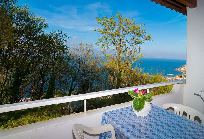 Hotel Paradise  | Casamicciola Terme-Isole Ischia | Napoli | Italia 1