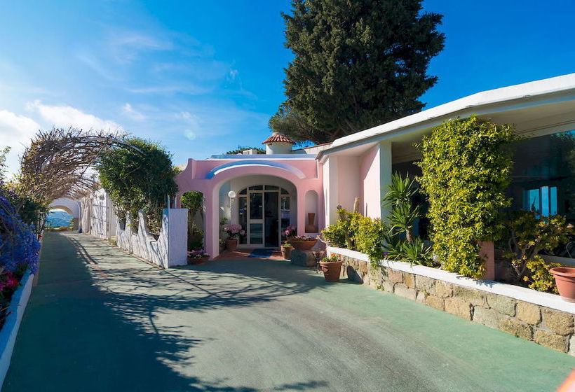 Hotel Paradise  | Casamicciola Terme-Isole Ischia | Napoli | Italia 17