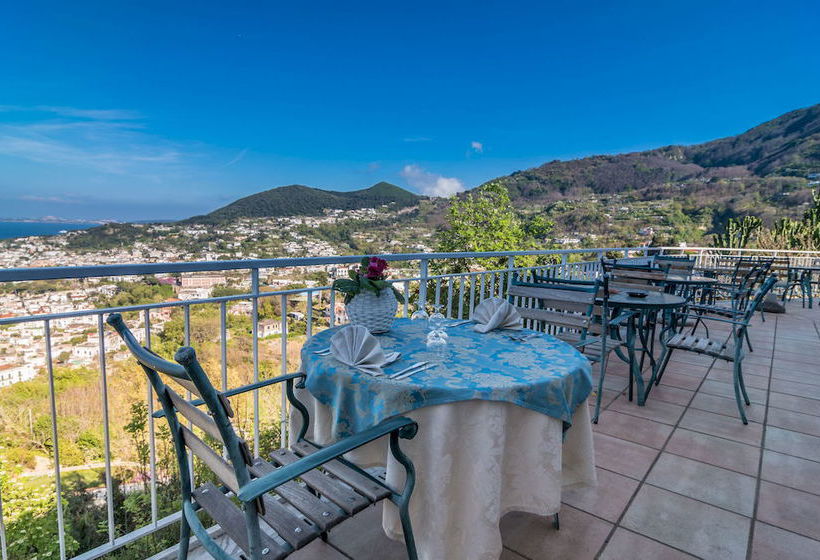 Hotel Paradise  | Casamicciola Terme-Isole Ischia | Napoli | Italia 20