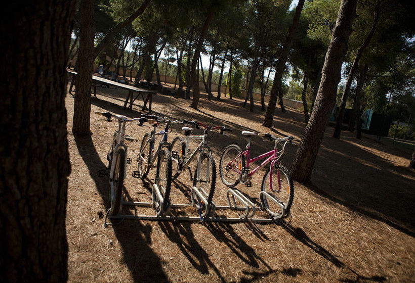 Hotel Masseria Fontanelle  | Ugento | Lecce | Italia 13