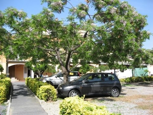 Hotel Villa San Giuseppe  | San Bartolomeo al Mare | Imperia | Italia 9