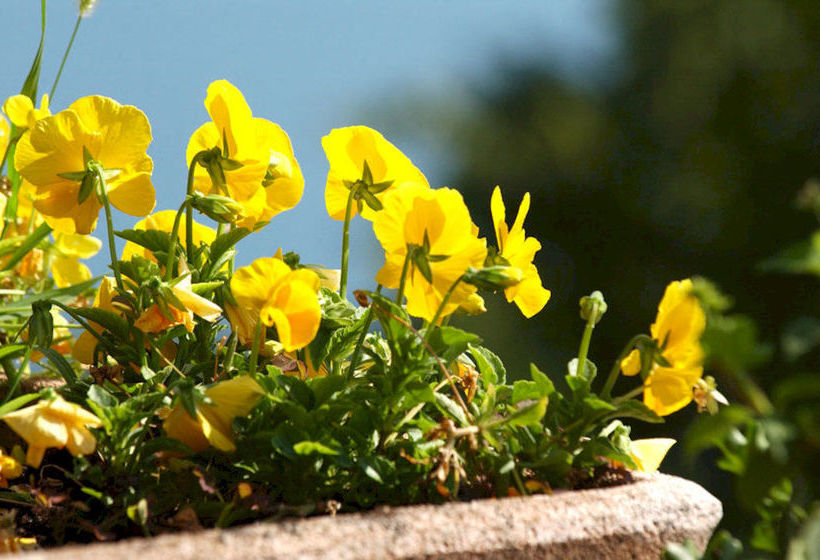 Hotel Park Faver  | Tremosine | Brescia | Italia 12