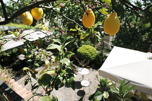 Bed and Breakfast Il Boom  | Roma | Roma | Italia 15