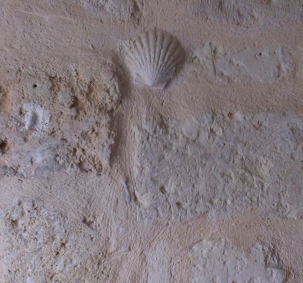 Bed & Breakfast Santa Maria Del Buon Consiglio  | Bari | Bari | Italia 19