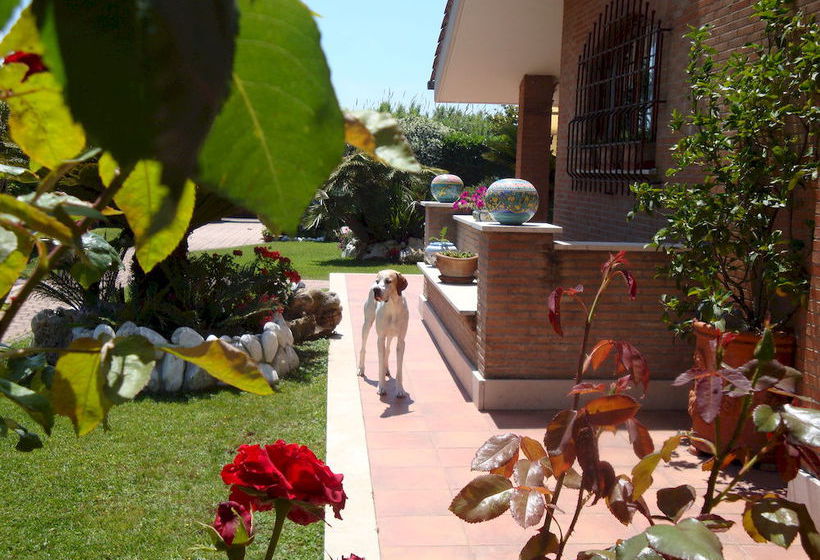 Bed and Breakfast A Casa Di Anna E Luca  | Roma | Roma | Italia 4