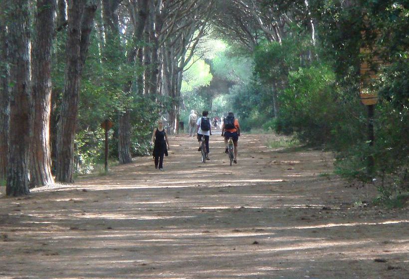 Hotel Camping Le Tamerici  | Cecina | Livorno | Italia 10