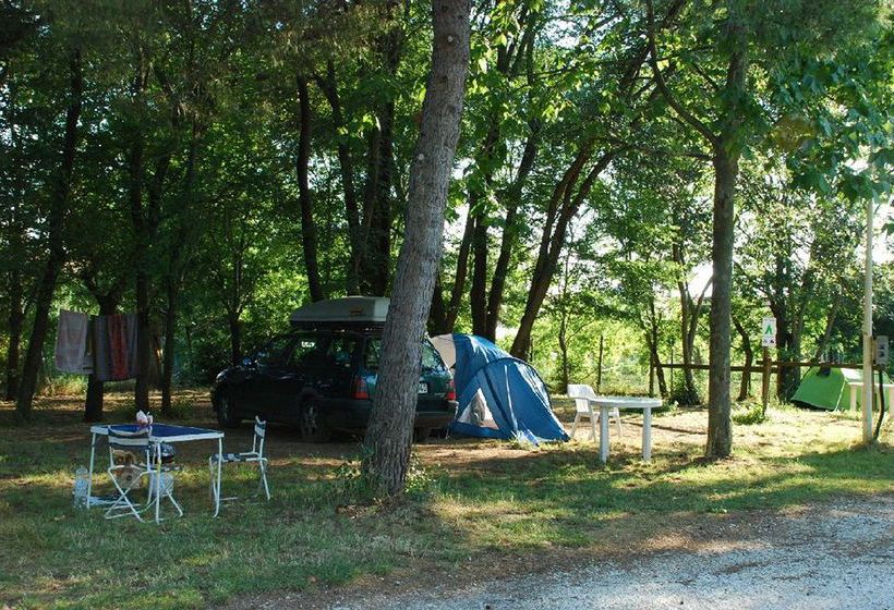 Hotel Camping La Torre Pendente Pisa