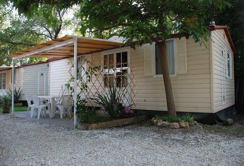 Hotel Camping La Torre Pendente  | Pisa | Pisa | Italia 1