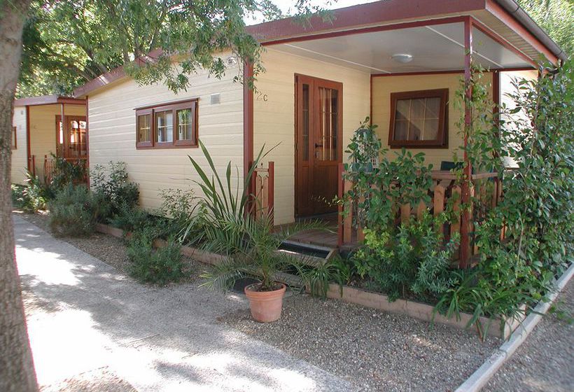 Hotel Camping La Torre Pendente  | Pisa | Pisa | Italia 16