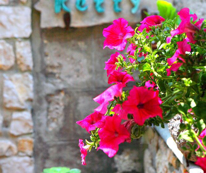 Bed and Breakfast Villa Ketty Resort Napoles