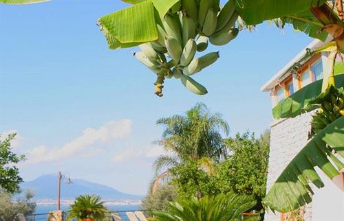 Bed and Breakfast Villa Ketty Resort  | Vico Equense | Napoli | Italia 14