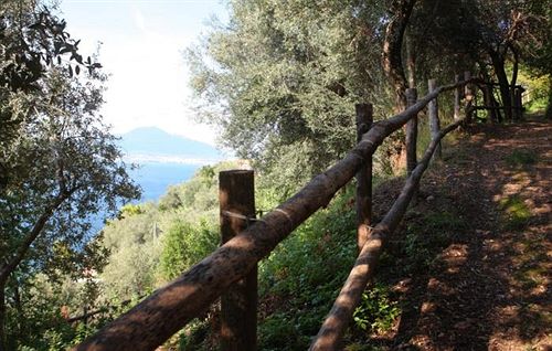 Bed and Breakfast Villa Ketty Resort  | Vico Equense | Napoli | Italia 15