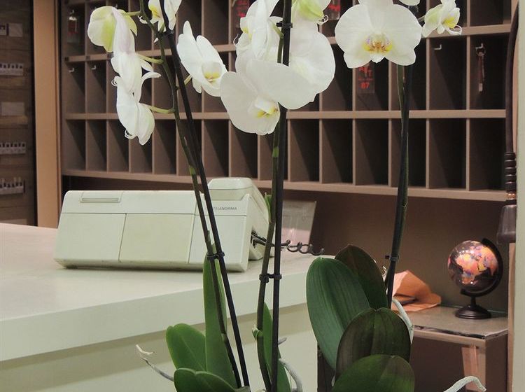 Hotel L?albergo Delle Terme  | Fiuggi | Frosinone | Italia 12