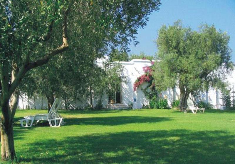 Narducci  | Brindisi | Brindisi | Italia 1