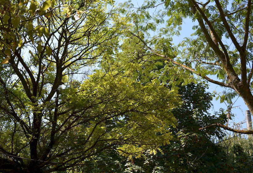Hotel La Volpe E L'uva  | Perugia | Perugia | Italia 2