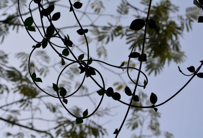 Hotel La Volpe E L'uva  | Perugia | Perugia | Italia 3