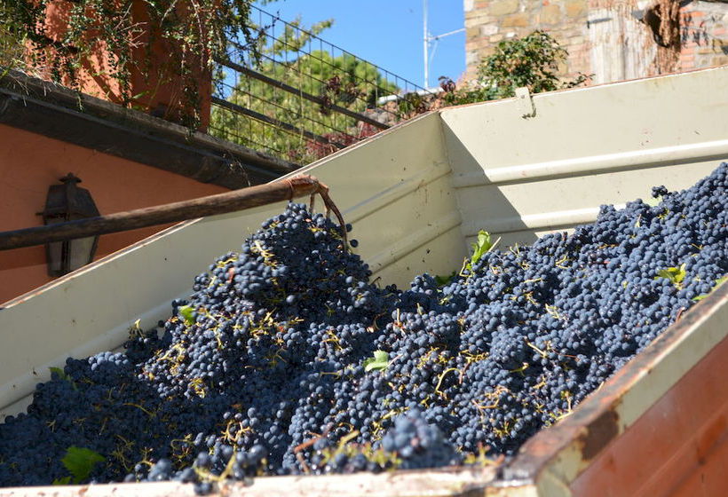 Hotel La Volpe E L'uva  | Perugia | Perugia | Italia 4