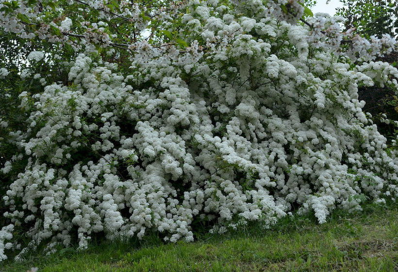 Hotel La Volpe E L'uva  | Perugia | Perugia | Italia 6