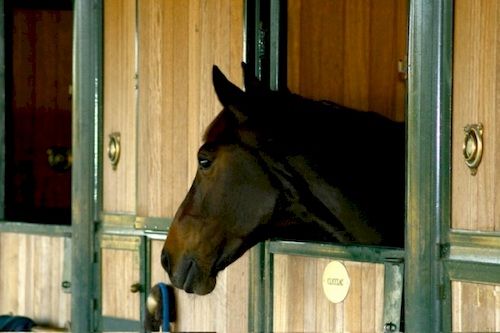 Hotel Star  | Cattolica | Rimini | Italia 16