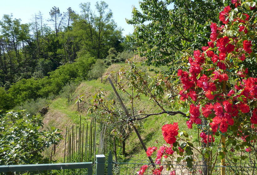 Gli Ulivi Di Montalbano  | La Spezia | La Spezia | Italien 3