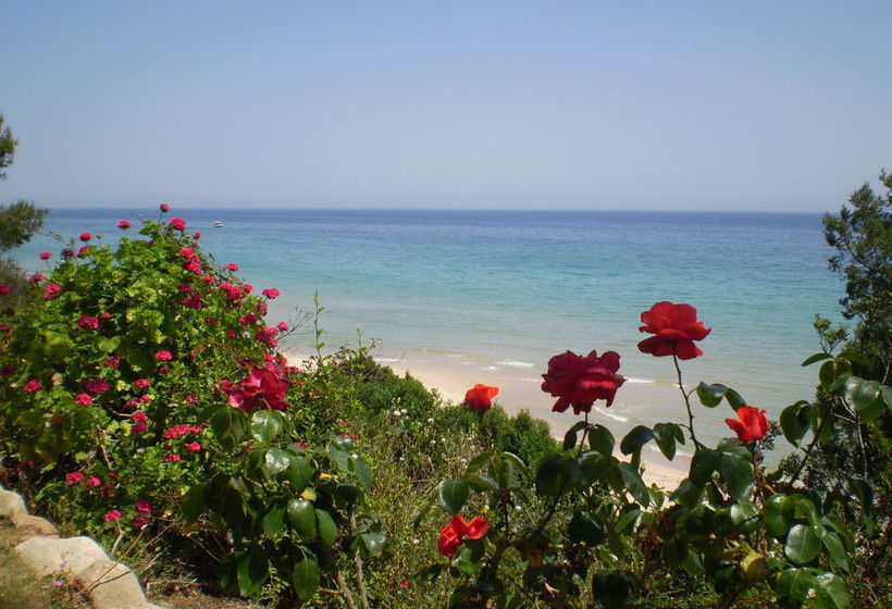 Hotel New Barcavela  | Pula | Sardegna | Italia 3