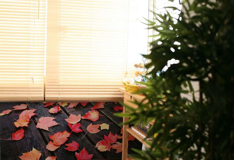 Bamboo Bed & Breakfast  | Roma | Roma | Italia 6