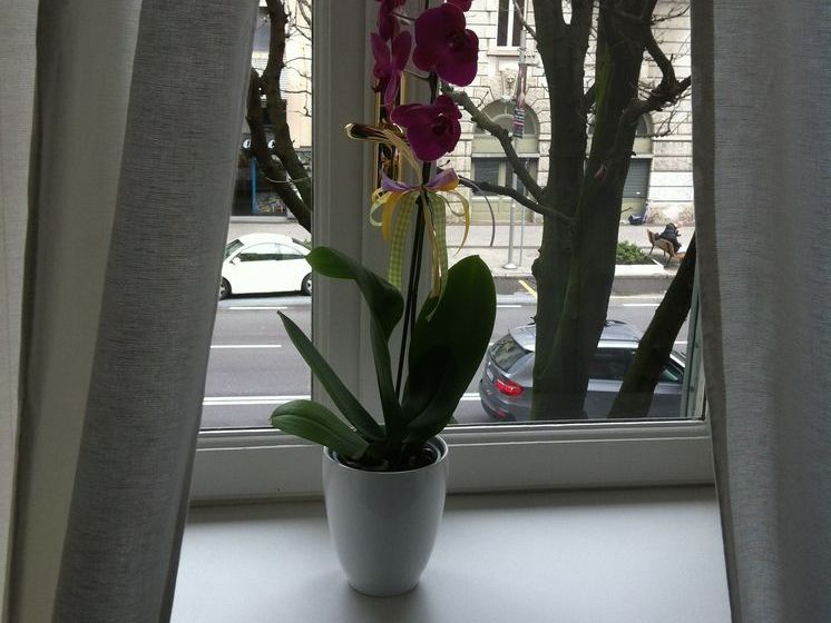 B&b Stazione  | Bergamo | Bergamo | Italia 18