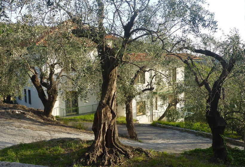 Hotel Borgo Verde  | Imperia | Imperia | Italia 1