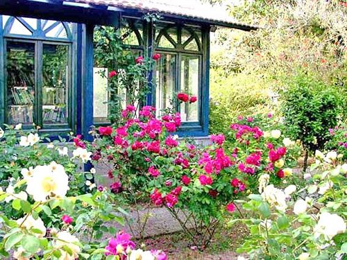 Bed and Breakfast La Gallina Felice  | Meta | Naples | Italy 1