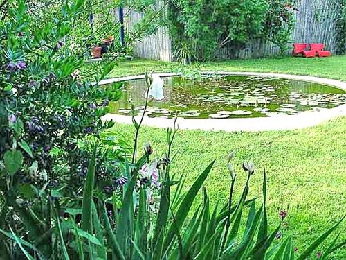 Bed and Breakfast La Gallina Felice  | Meta | Naples | Italy 2