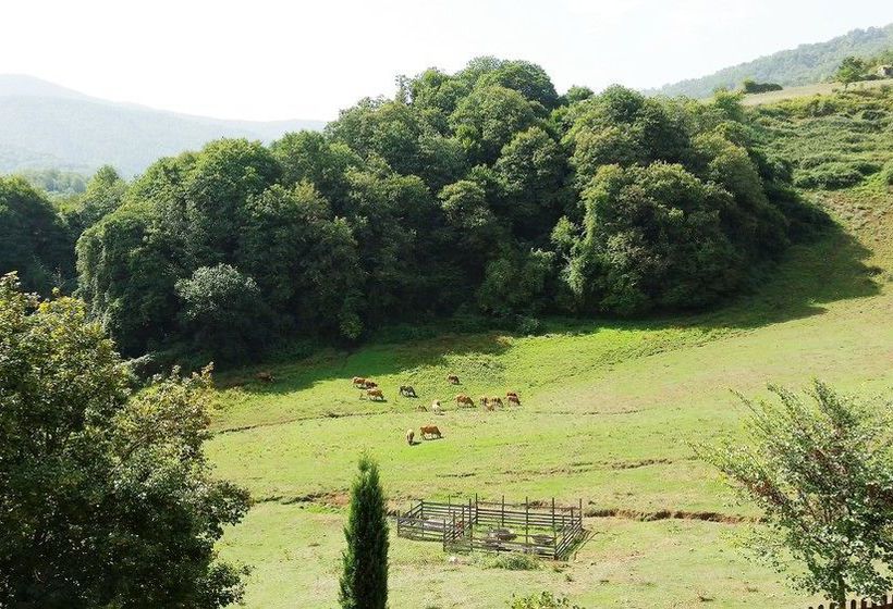 Hotel La Rocca Dei Briganti  | Artena | Roma | Italia 9