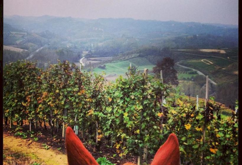 Hotel Agriturismo Le Querce Del Vareglio  | Canale | Cuneo | Italia 4