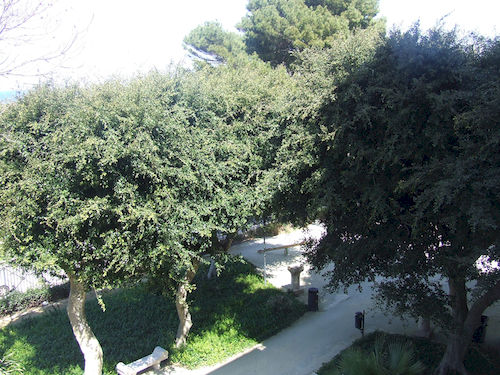 Bed and Breakfast Bed&Breakfast Porta Nuova  | Marsala | Trapani | Italia 2