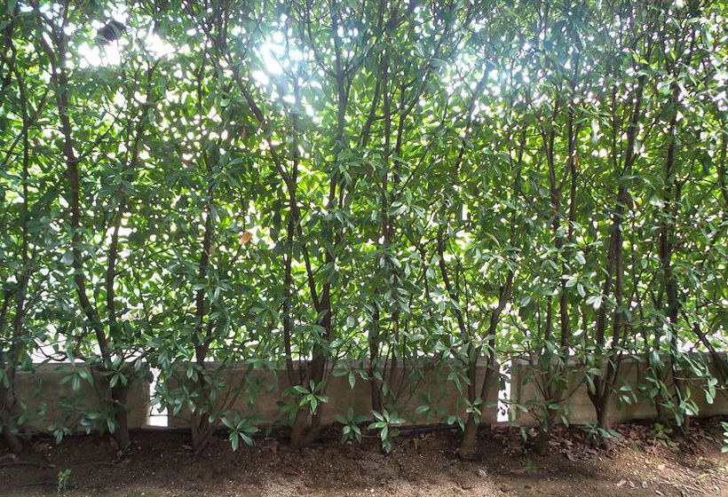 B&b Garda 4u  | Desenzano del Garda | Brescia | Italia 10