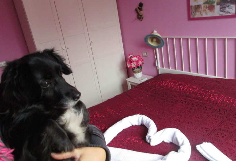 Hotel 25rooms Bed & Breakfast  | Roma | Roma | Italia 1