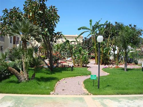 Le Palme Di Conturrana Tropicale San Vito lo Capo