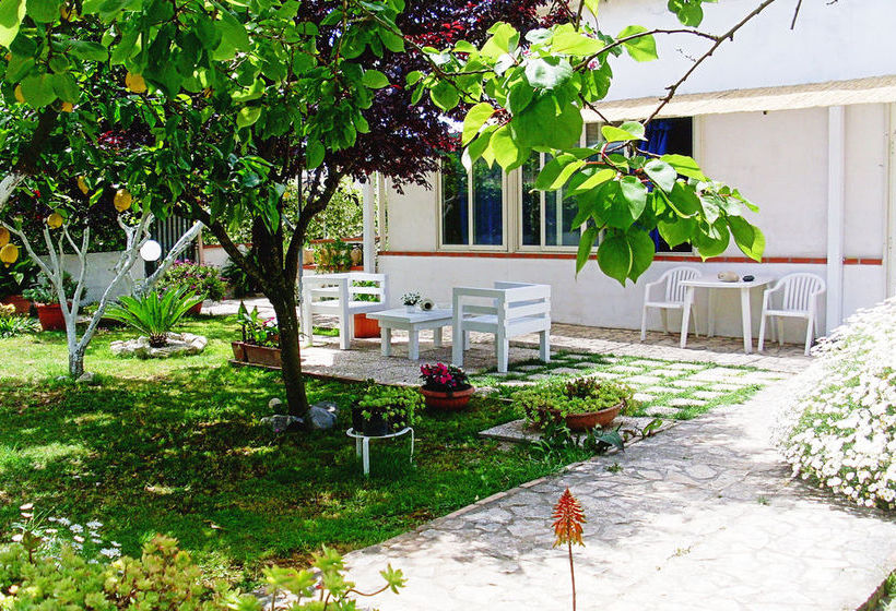 Hotel Albergo Minturnae  | Minturno | Latina | Italia 13