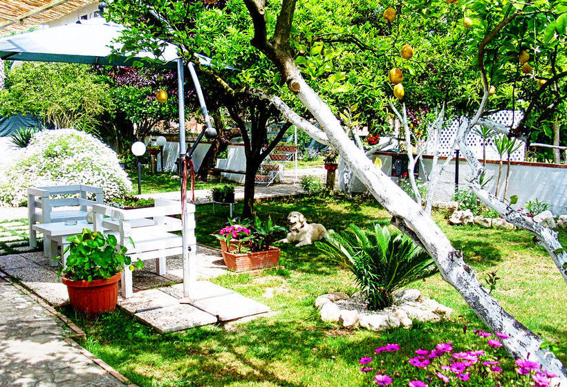 Hotel Albergo Minturnae  | Minturno | Latina | Italia 14