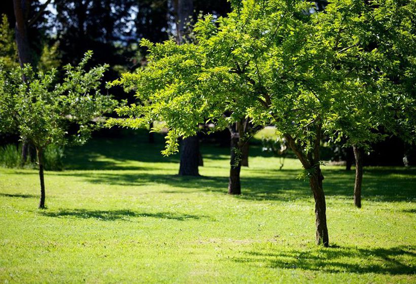 Villa Il Borghetto  | Sienne | Siena | Italie 20