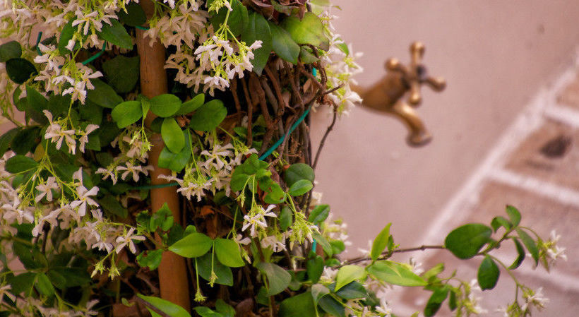 Bed and Breakfast Cas'e Charming House  | Caserta | Caserta | Italia 15