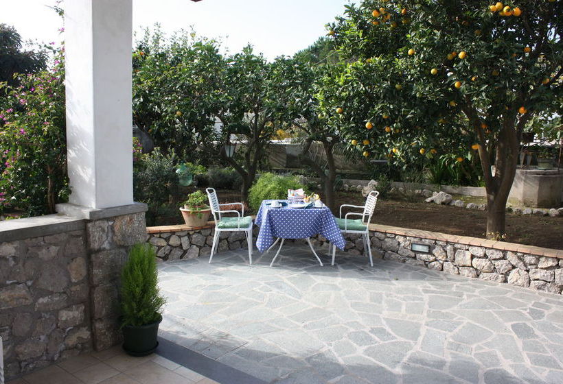 Bed and Breakfast Casetta Minghitto  | Anacapri - Isla de Capri | Napoli | Italia 10