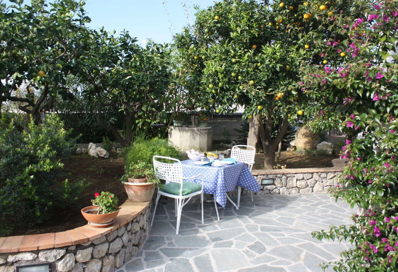 Bed and Breakfast Casetta Minghitto  | Anacapri - Isla de Capri | Napoli | Italia 12