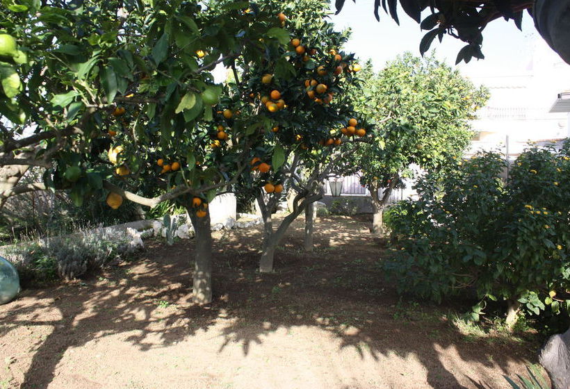 Bed and Breakfast Casetta Minghitto  | Anacapri - Isla de Capri | Napoli | Italia 7